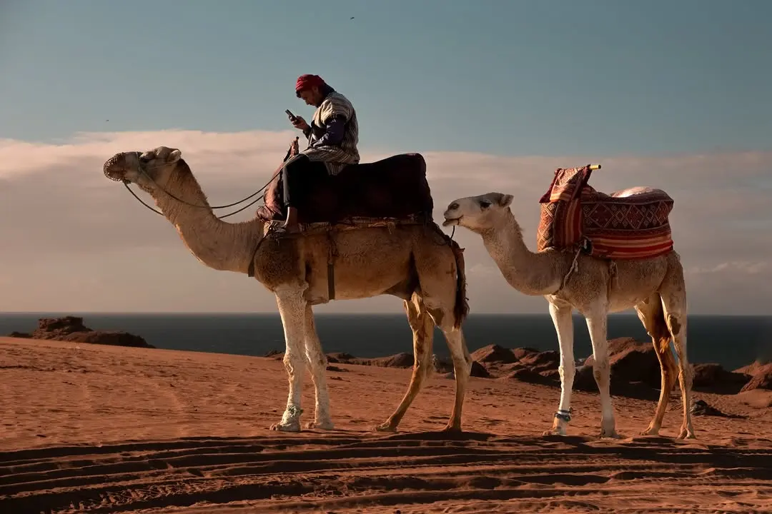 camel ride timlalin dunes