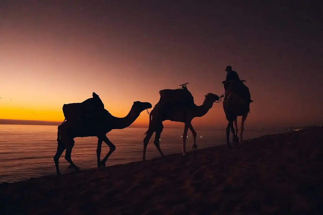 camel ride timlalin desert