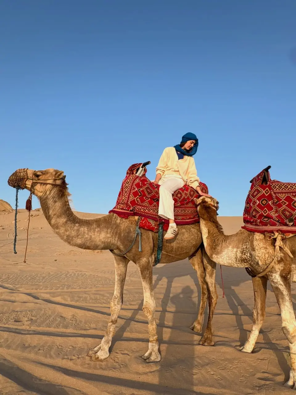 camel ride at Timlalin Dunes near Imsouane Morocco – sunset desert experience besides surfing